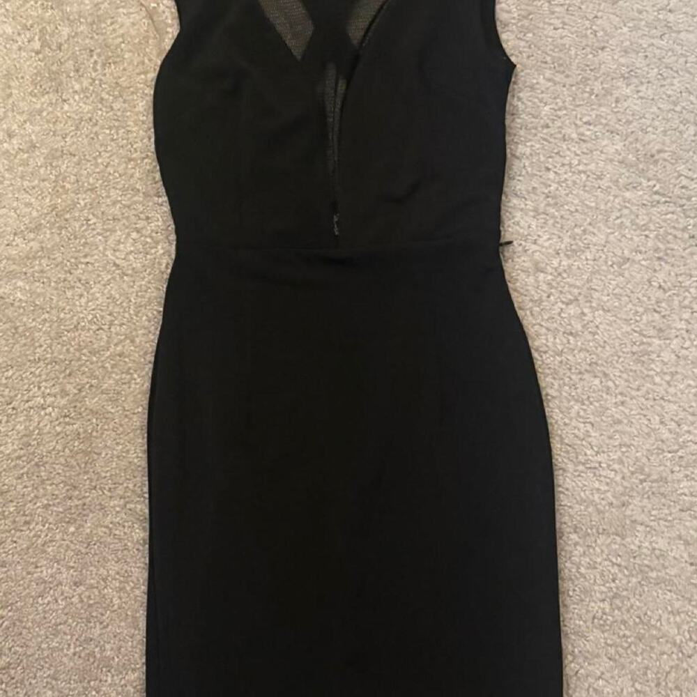 Tiger Mist black mesh back dress Size Small